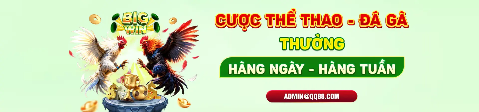 cá cược thể thao đá gà hàng tuần tại qq88